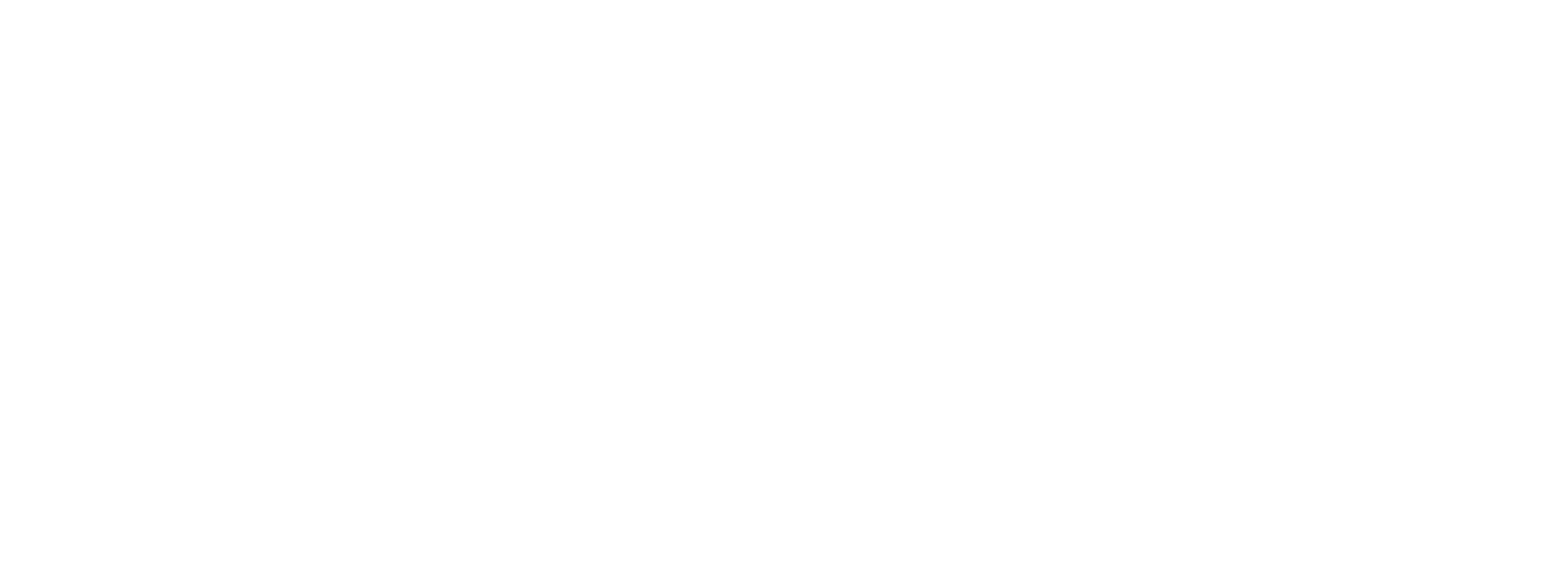 cyblonk logo